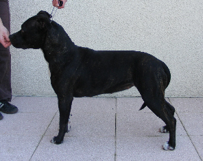 Bacha De la Maison d'Este