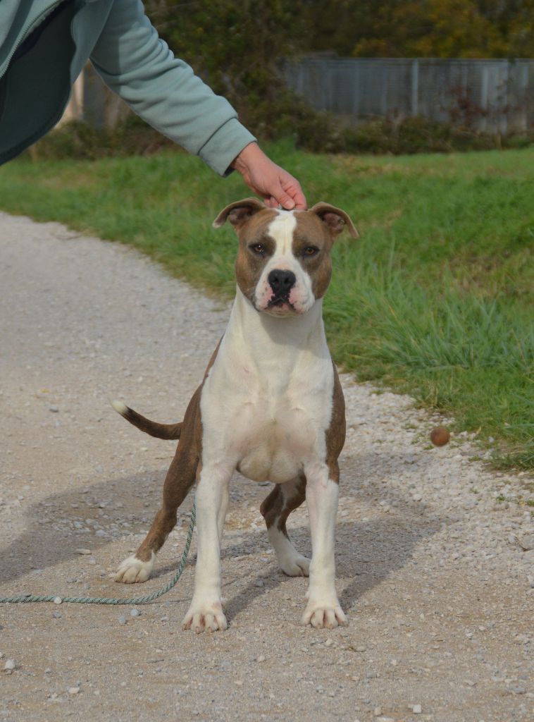 Ultimate Truth Requiem for a dream