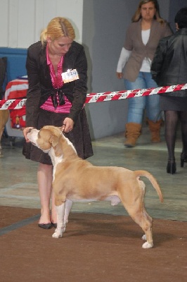 Ultimate Truth - Résultats Dog Show du Luxembourg !